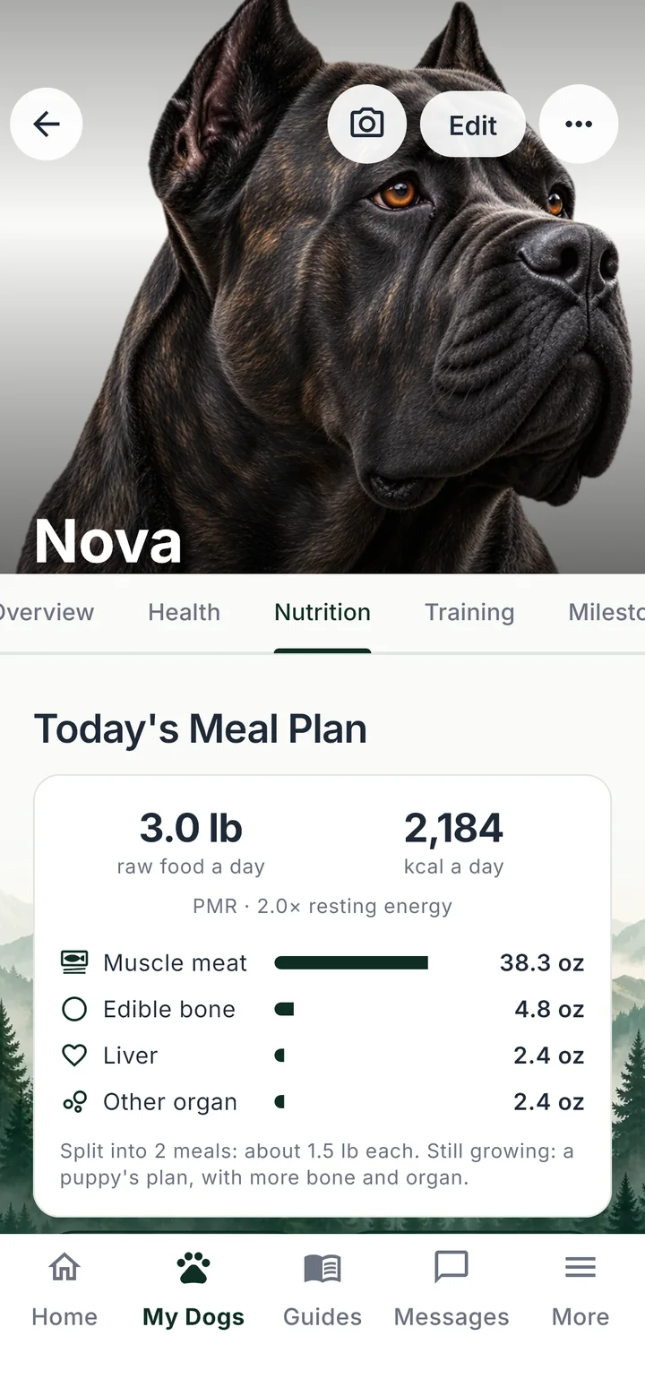 Nova’s Nutrition tab: a daily raw ration of 3 lb split into muscle meat, edible bone, liver and other organs.